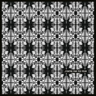 a kaleidoscop of portraits