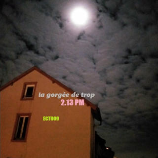 cloudy sky, full-moon night and a roof.