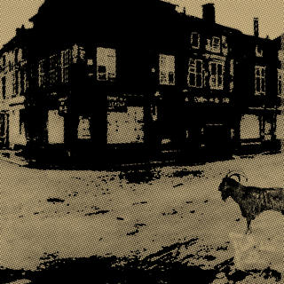 a goat in Saint-Mihiel